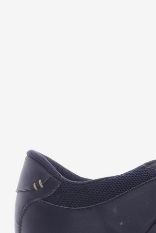 LACOSTE Sneakers & Trainers in 43 in Blue