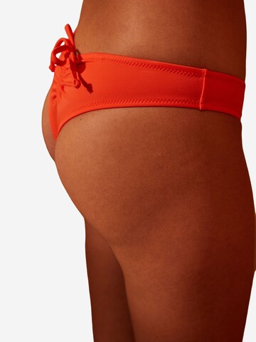 Penti Bikini hlačke | oranžna barva: sprednja stran