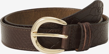 Tamaris - Cintos em castanho: frente