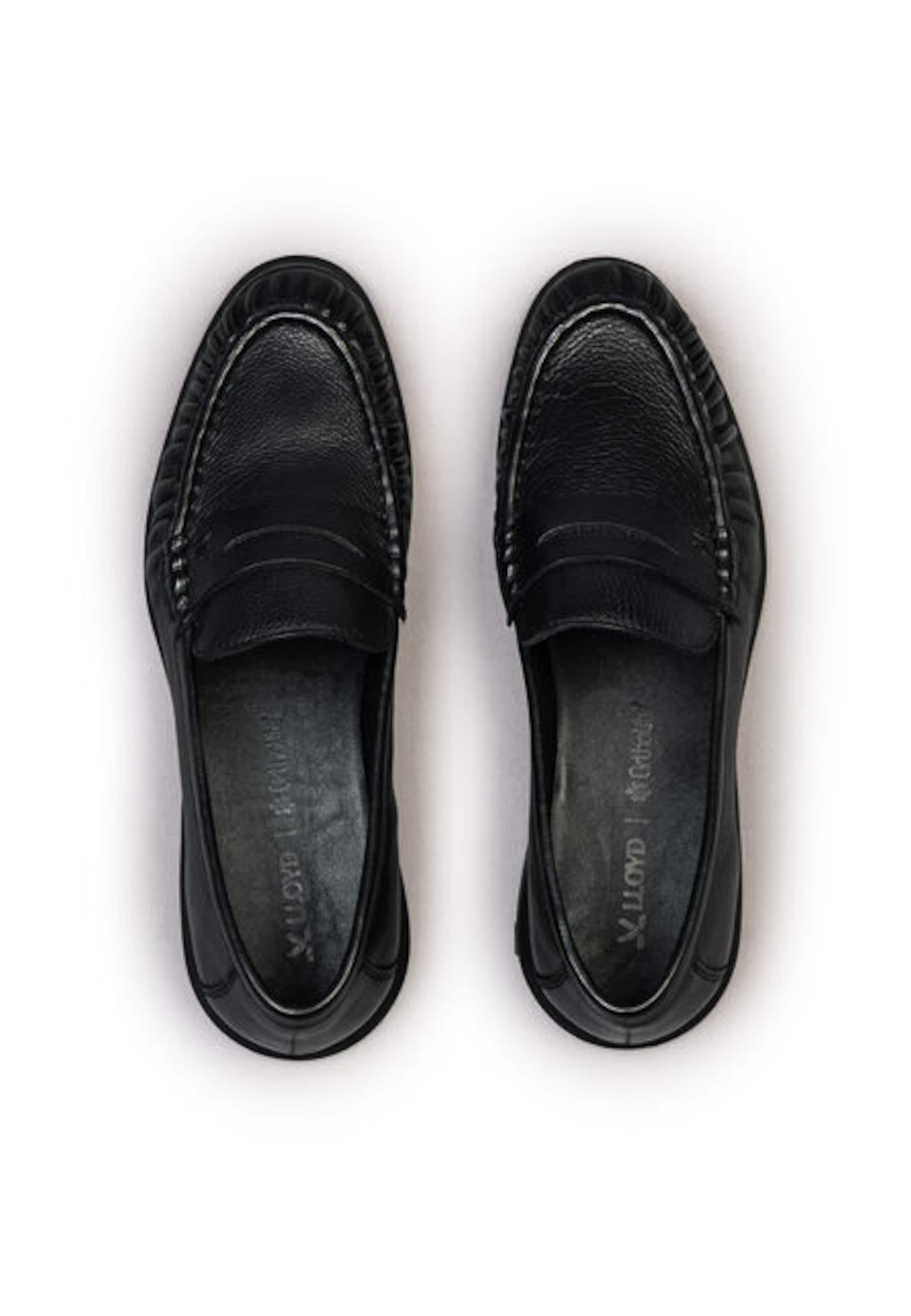 LLOYD Classic Flats in Brown