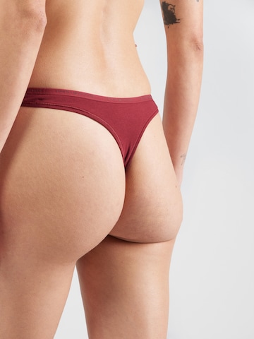 Tommy Hilfiger Underwear Thong in Red