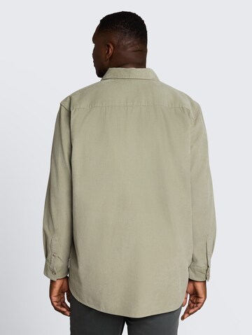 TOM TAILOR Men + Regular Fit Hemd in Grün