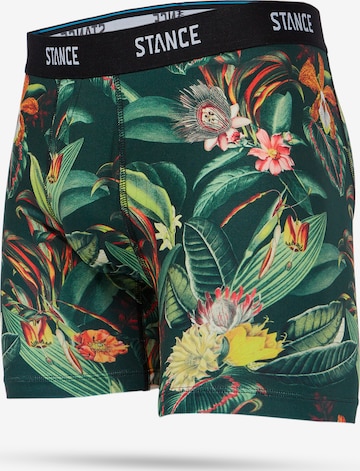 Stance Boxershorts 'Playa' i grön: framsida