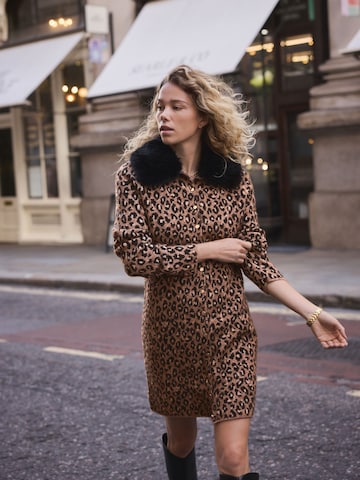 Next Kootud kleit, värv pruun: eest vaates