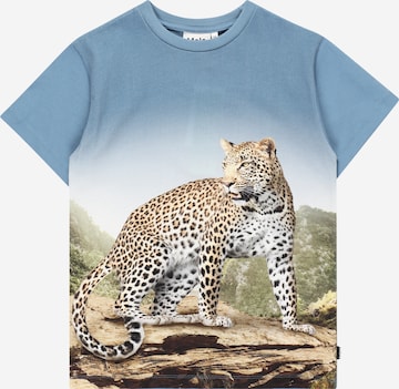 Molo T-Shirt 'Rasmus' in Blau: predná strana
