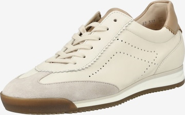 Baskets basses GABOR en beige : devant