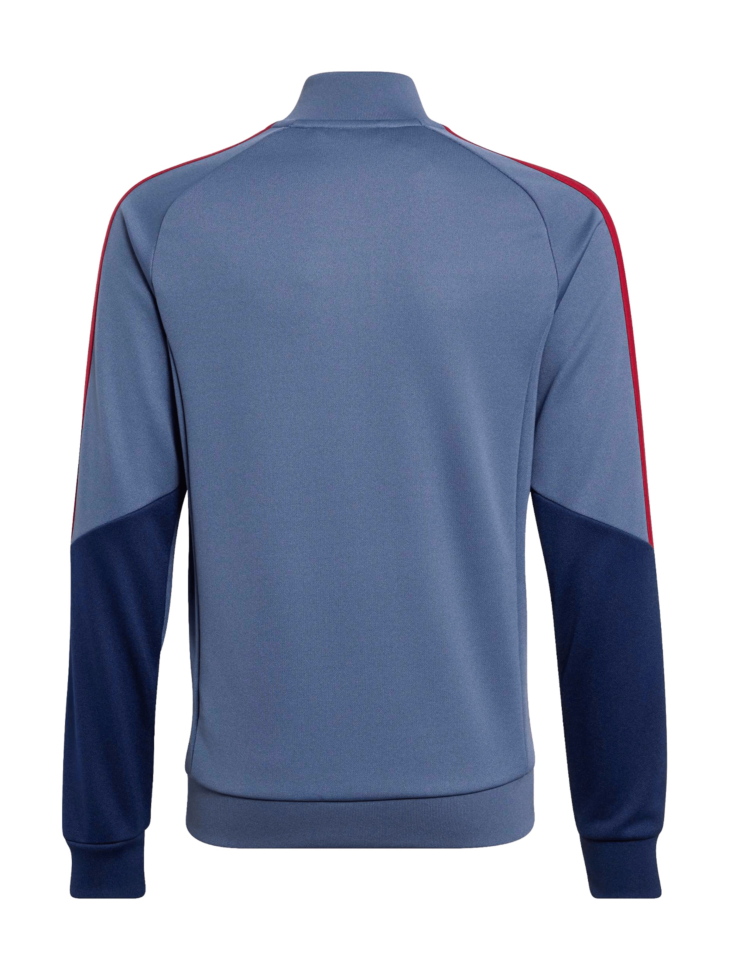 ADIDAS PERFORMANCE Tracksuit in Blue