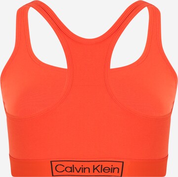 Calvin Klein Underwear Plus Bustier BH in Orange