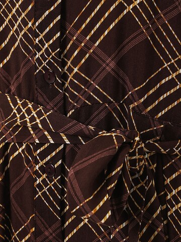 Bigdart Shirt Dress in Brown
