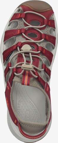 KEEN Sandale 'ASTORIA WEST' in Rot