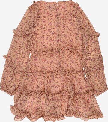 Bardot Junior Dress 'Hazel' in Pink