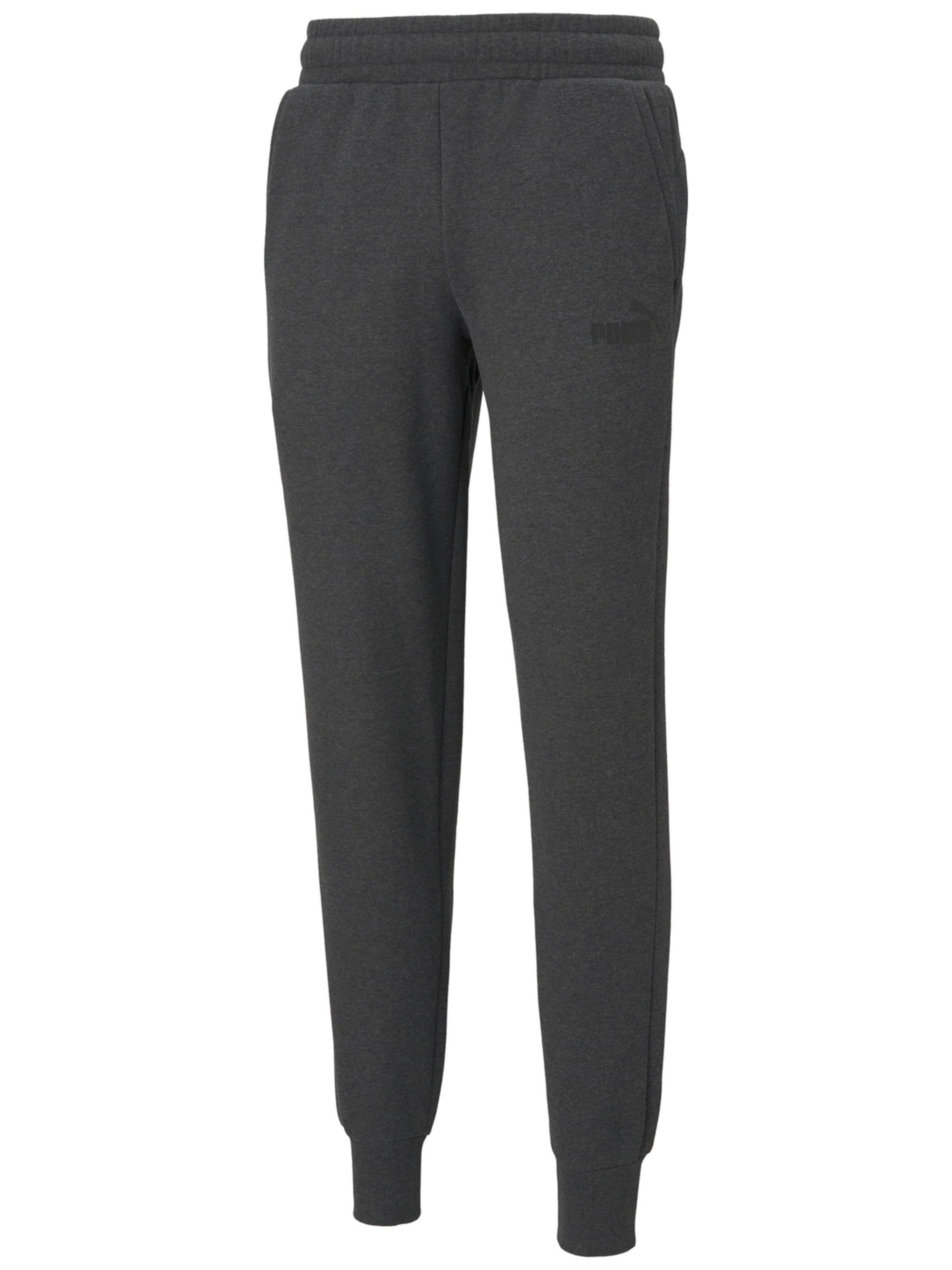 regular Pantaloni sportivi 'Puma Essentials Logo' di PUMA in grigio: frontale