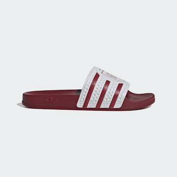 ADIDAS PERFORMANCE Strand-/badschoen in Rood