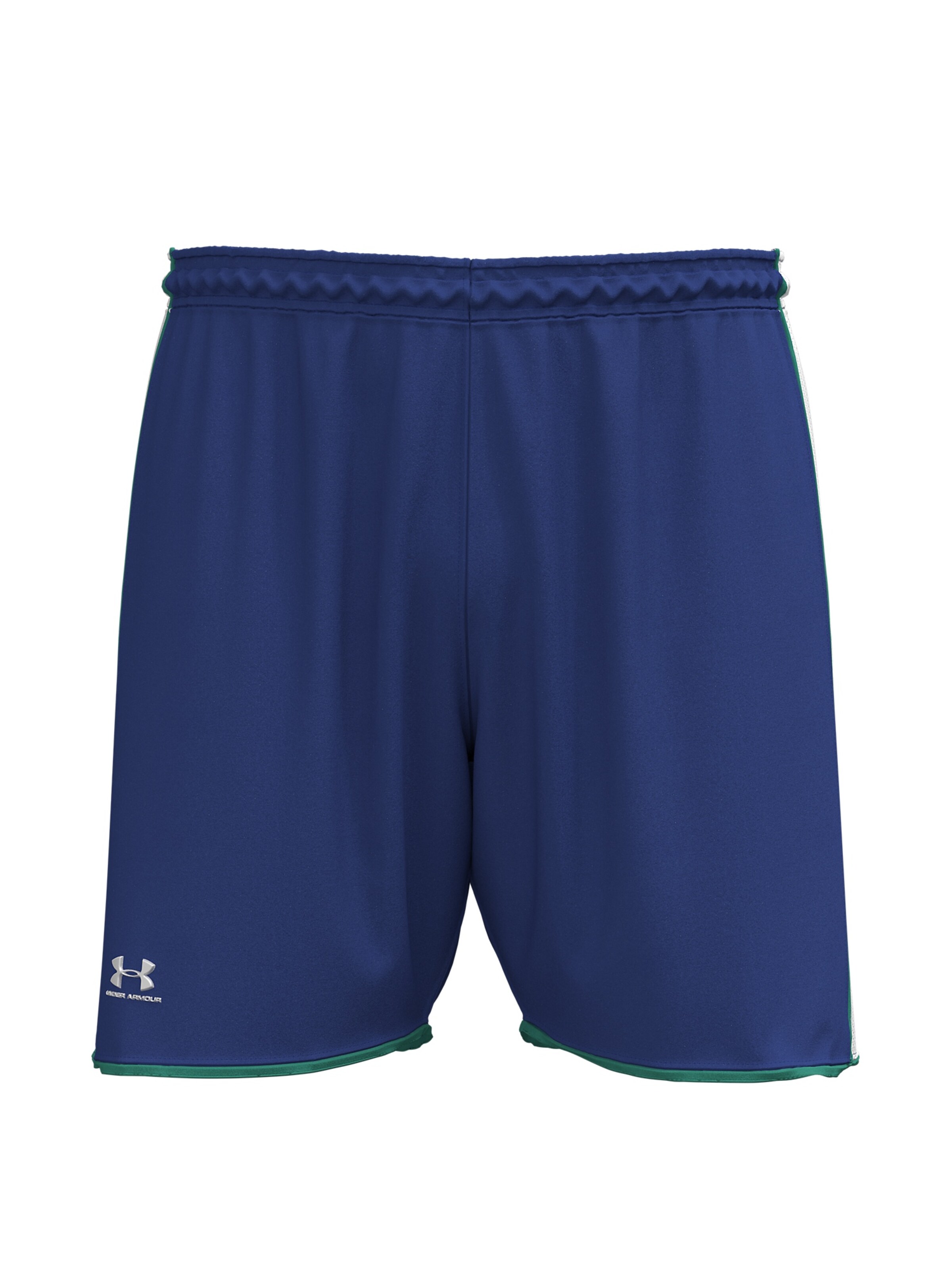 UNDER ARMOUR Workout Pants in Blue: front