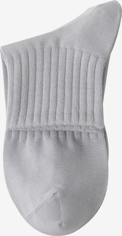 Millo Socken 'Everyday Teens' in Grau: Vorderseite
