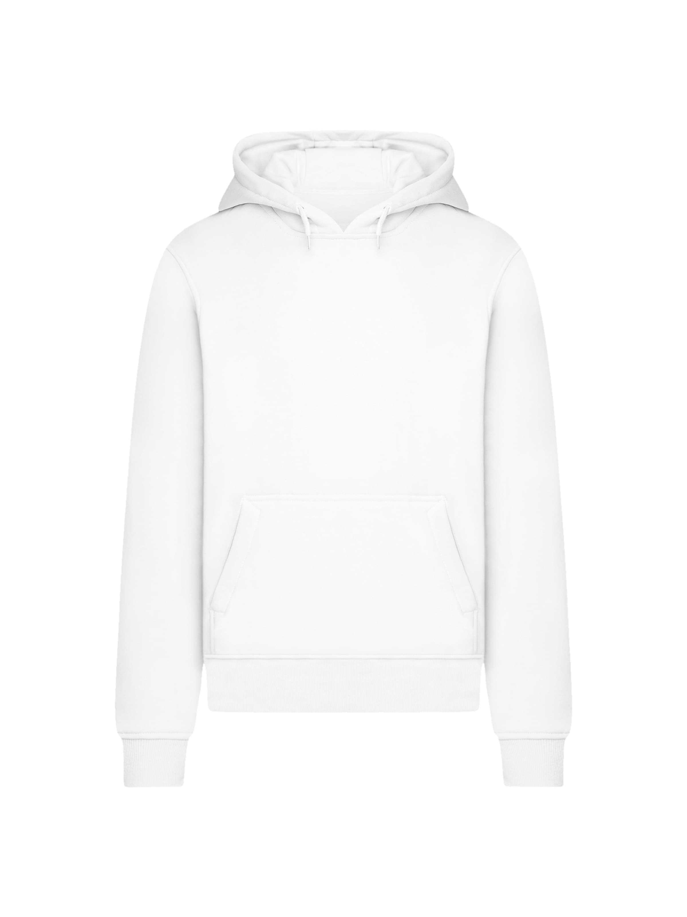 F4NT4STIC Pullover 'Escape Discover the World Mountain' in Weiß: Vorderseite