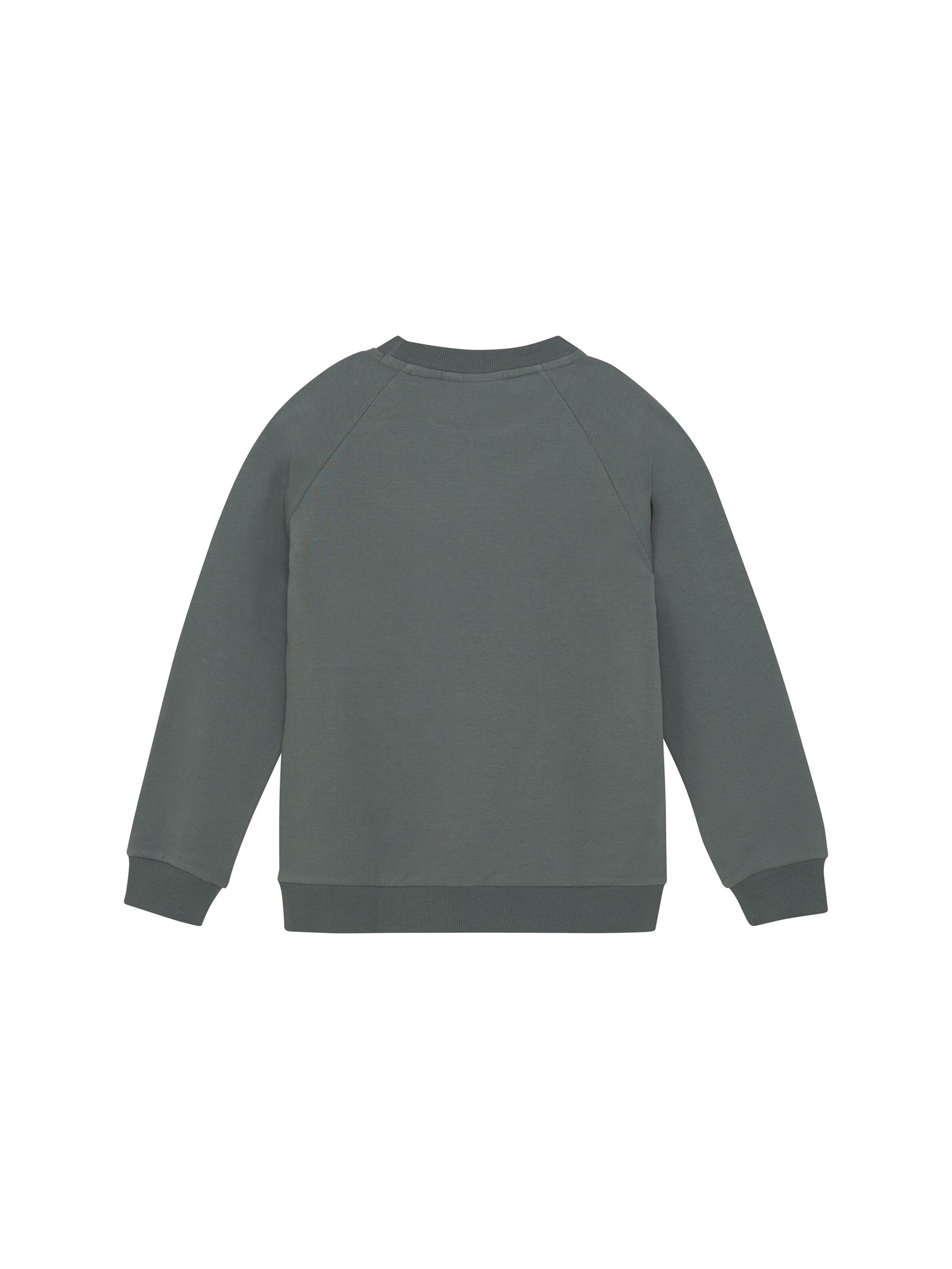 COLOR KIDS - Pullover ' COSweat W. JR. Logo Print ' em verde