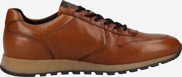 Pius Gabor Sneakers laag in Bruin