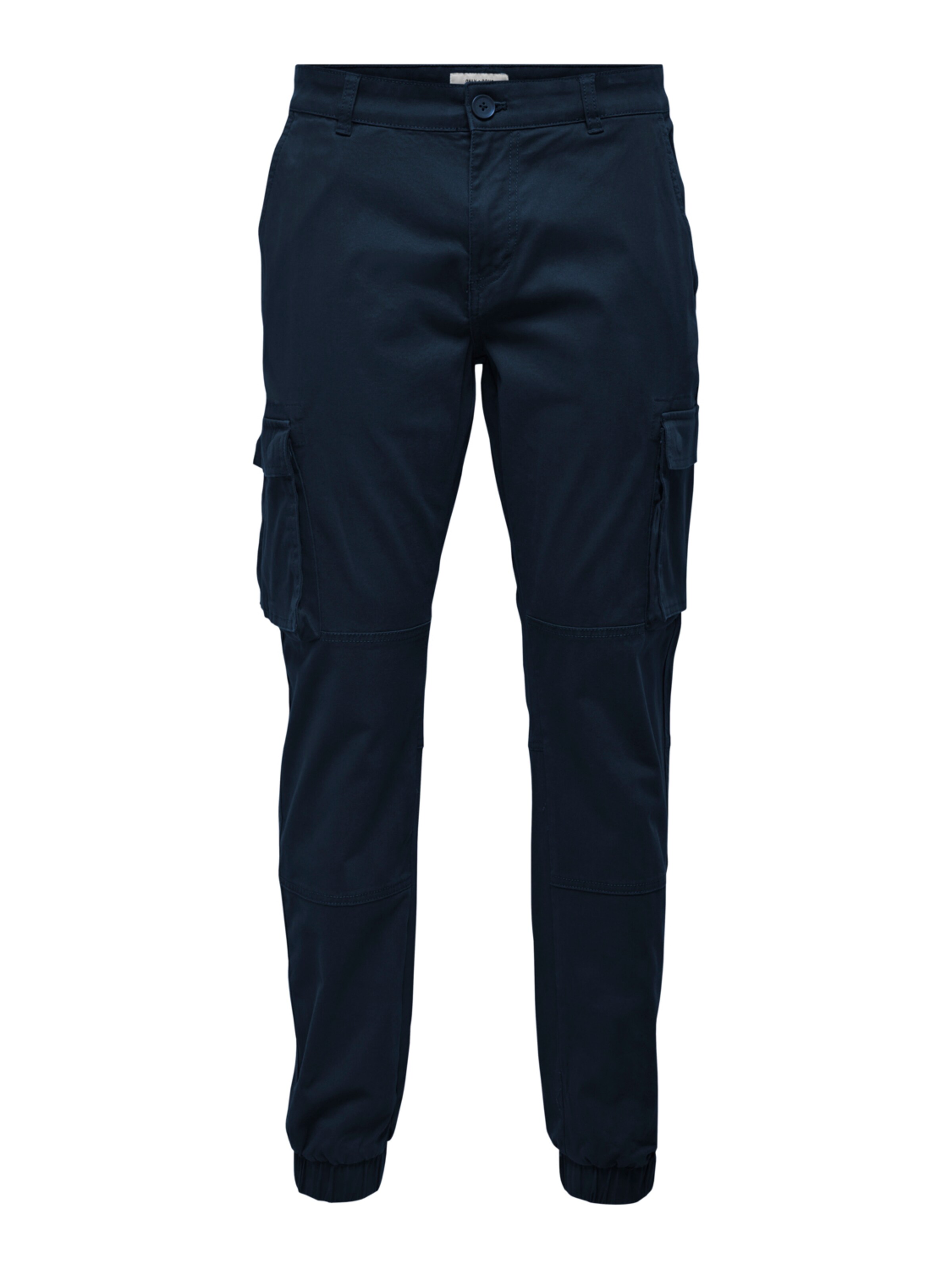 Only & Sons Cargo Pants 'ONSCam Stage' in Blue: front