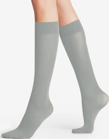 FALKE Over the Knee Socks 'Pure Matt' in Silver: front