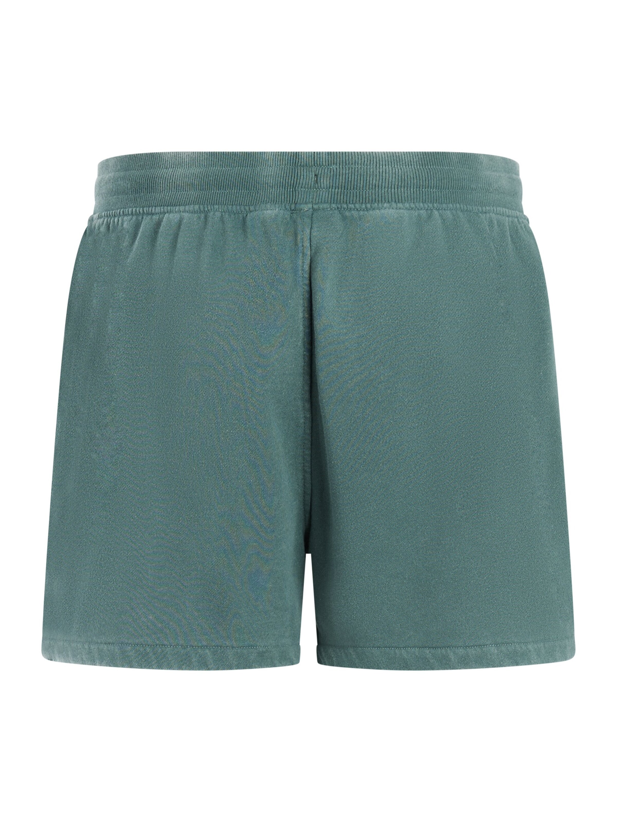 PROTEST Regular Trousers 'PRTOrby' in Green