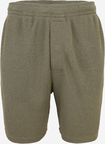 Calvin Klein Swimwear Обычный Штаны в Зеленый: спереди