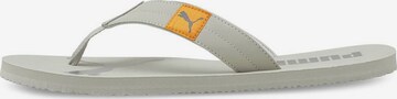 PUMA Beach & Pool Shoes in Grey