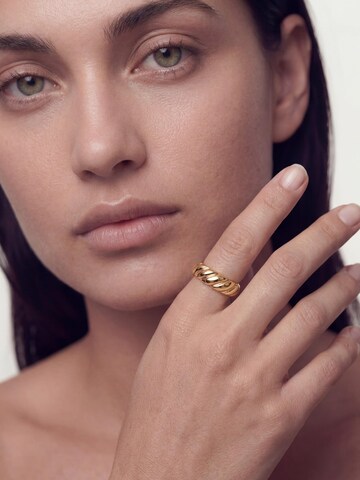 Akitsune Ring 'Passion' in Gold