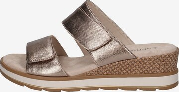 CAPRICE Mules in Brown