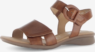GABOR Sandals in Brown: front