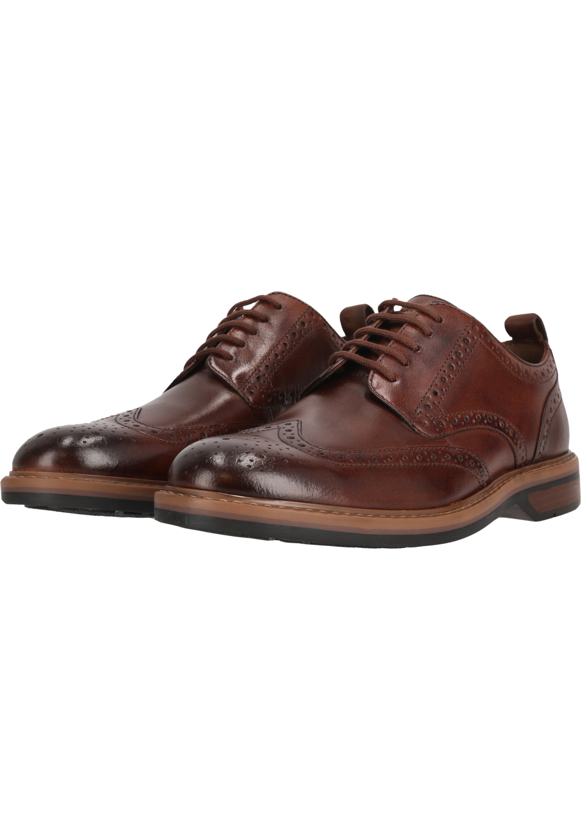 CLARKS Lace-Up Shoes 'Aldwin Limit' in Brown