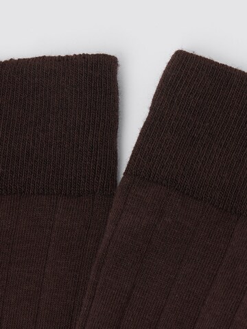 CALZEDONIA Socks in Brown