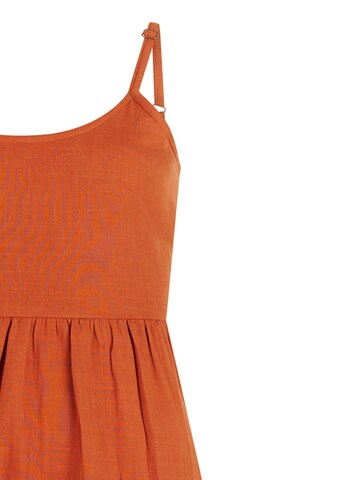 PROTEST Dress 'PRTMendes' in Brown