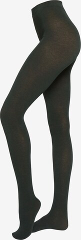 CALZEDONIA Tights 'thermo' in Green: front