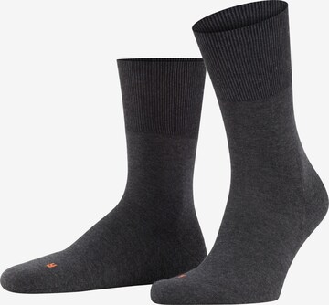 FALKE Socken 'Run' in Grau: Vorderseite