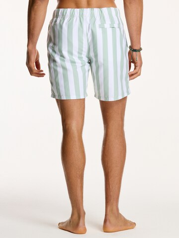 Shiwi Swimming shorts in Green