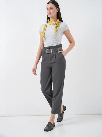 regular Pantaloni con pieghe 'Hose' di Bigdart in grigio