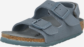 BIRKENSTOCK Avonaiset kengät 'Milano' värissä harmaa: etupuoli