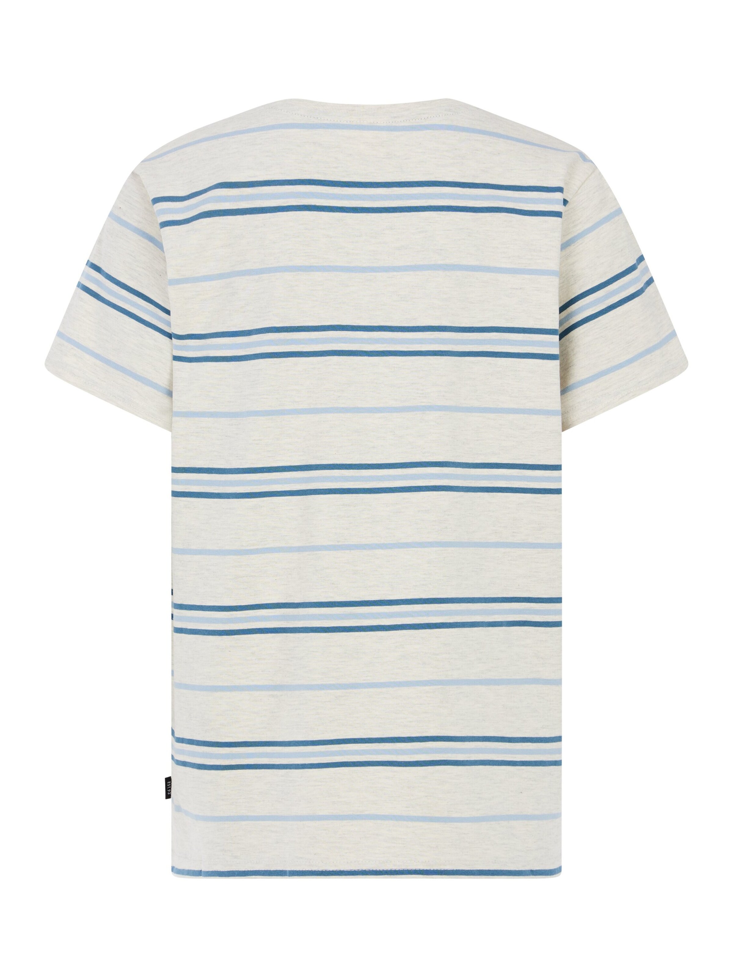 PROTEST Shirt 'PRTScott JR' in Blau