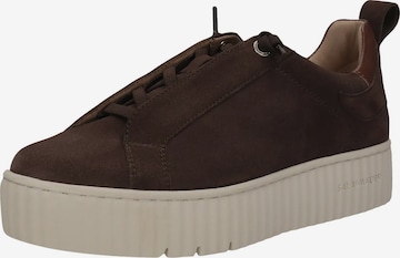Baskets basses SALAMANDER en marron : devant