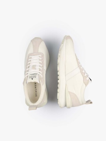 Sneaker bassa di Scalpers in beige