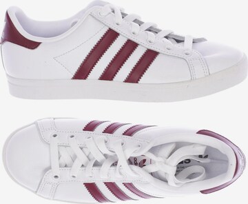 ADIDAS ORIGINALS Sneakers & Trainers in 36 in White: front