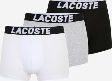 LACOSTE Boxer shorts in Grey: front