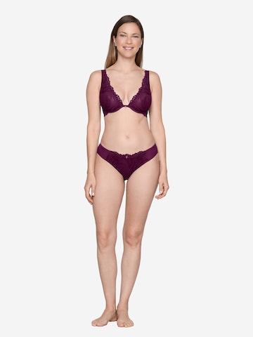 JOOP! BH ' Intimate Apparel ' in Lila