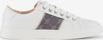 JOOP! Sneakers laag 'Coralie' in Wit