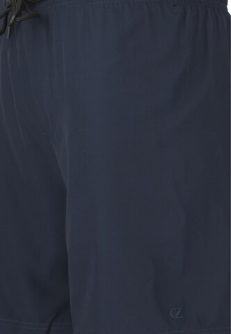Cruz Zwemshorts 'Baumville' in Blauw