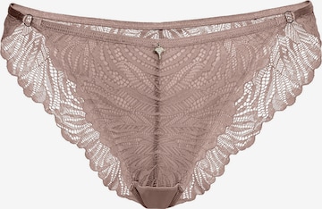 Slip ' Charming ' JOOP! en marron : devant