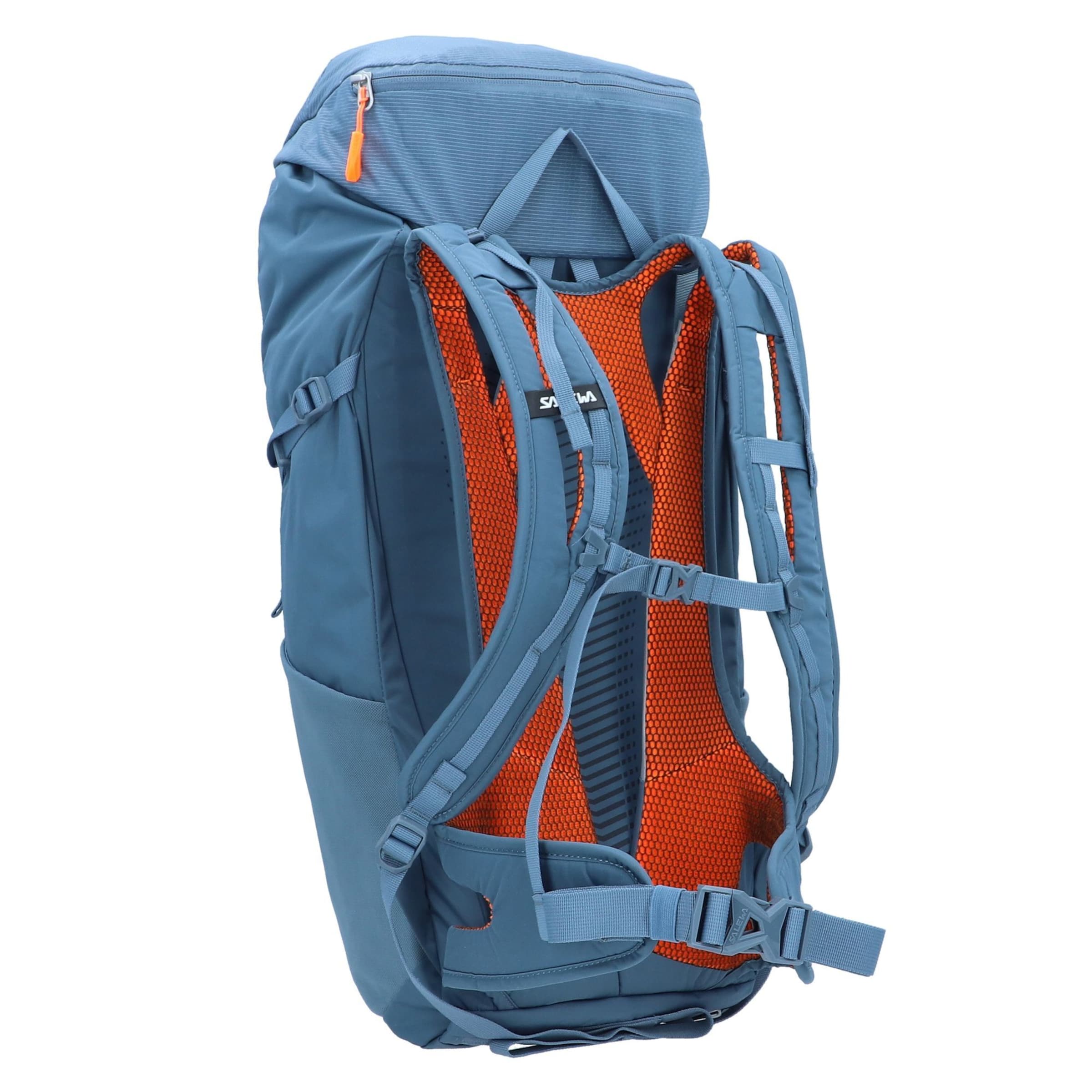 SALEWA Sports Backpack in Blue