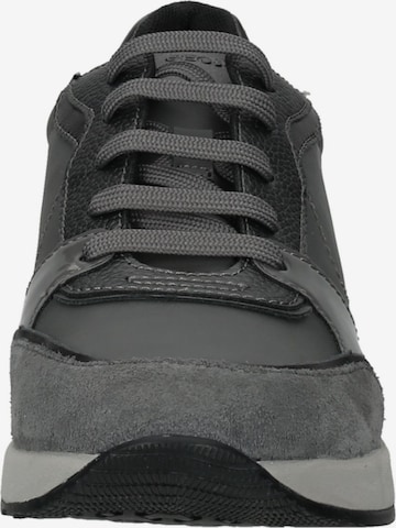 Baskets basses GEOX en gris