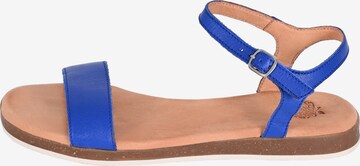 Apple of Eden Sandalen met riem 'Isa' in Blauw